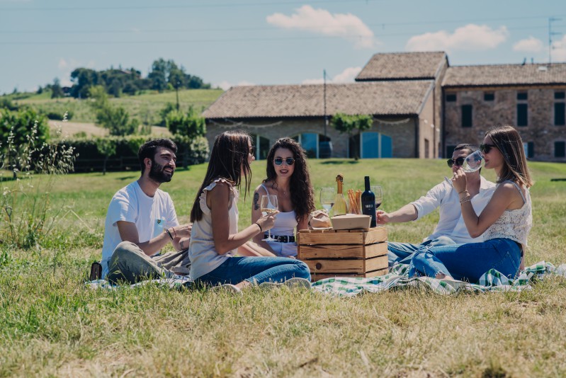 Parma Tastes & Tales: Parmigiano Reggiano, Dallara, Wine Picnic & Fontanellato Castle